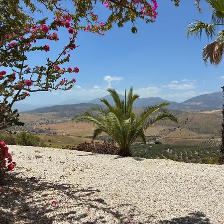 Curva Tatil Evi